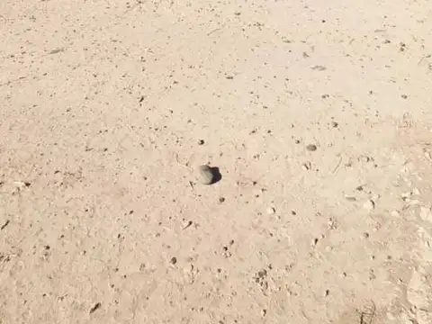 Montecaseros 3300, Piso 0