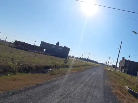 Campos del Oeste Alvear 100