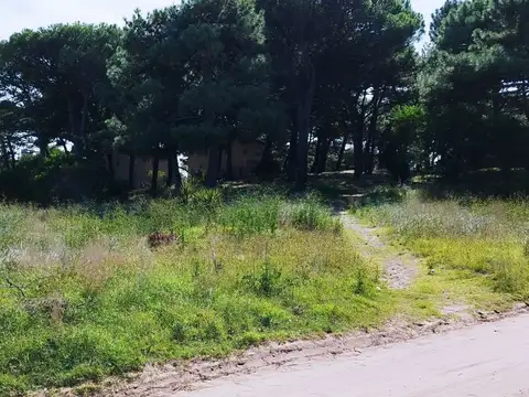 Venta Lote 900m2 400mts del mar Forestado Consulte!