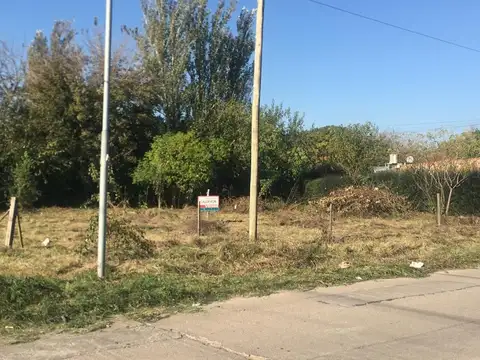 Cangallo y Maestro Argentino 100
