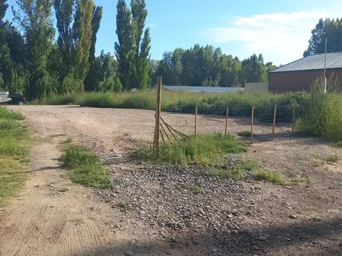 Ruta 151 300