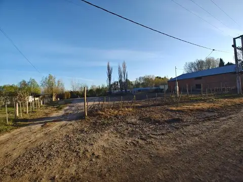 Ruta 151 300