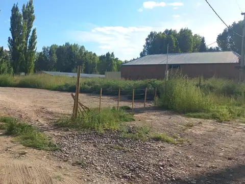 Ruta 151 300