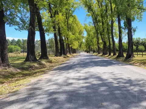 Terreno en Venta de 5000,0 m2