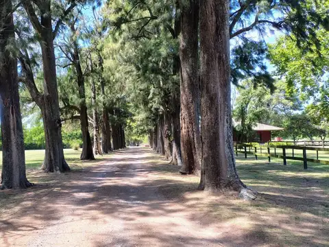 Terreno en Venta. Ruta 8 km.84 Haras El Malacate, lote 203