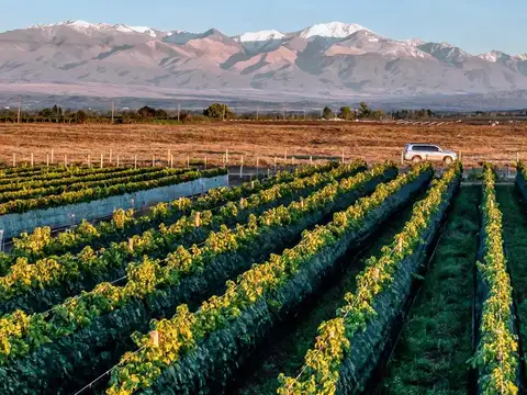 Tupungato Valley