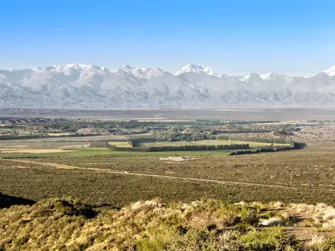 Tupungato Valley