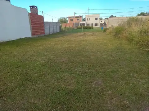 Gustavo Cerati y Sabato