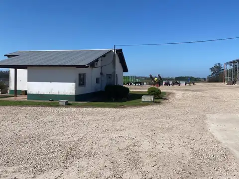 Galpón en Mar Del Plata