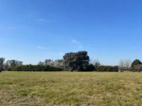 Terreno en Venta de 18000,0 m2