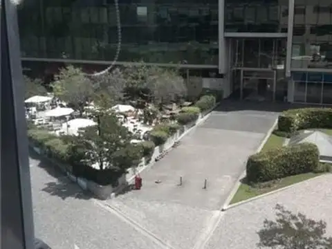 Las Camelias