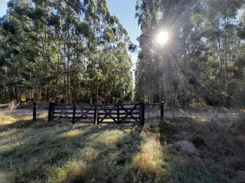 VENDO GRAN PARCELA  EN EXCLUSIVO CAMPO PRIVADO 