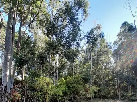 VENDO GRAN PARCELA  EN EXCLUSIVO CAMPO PRIVADO 