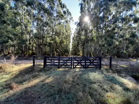 VENDO GRAN PARCELA  EN EXCLUSIVO CAMPO PRIVADO 