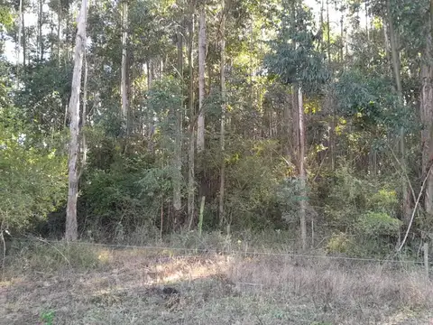 Campo Privado