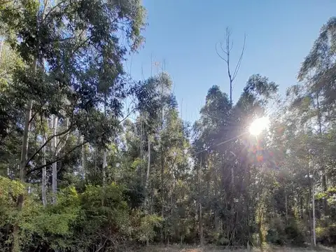 Campo Privado