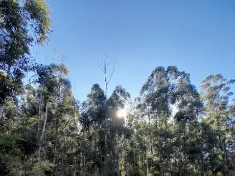 VENDO GRAN PARCELA  EN EXCLUSIVO CAMPO PRIVADO 