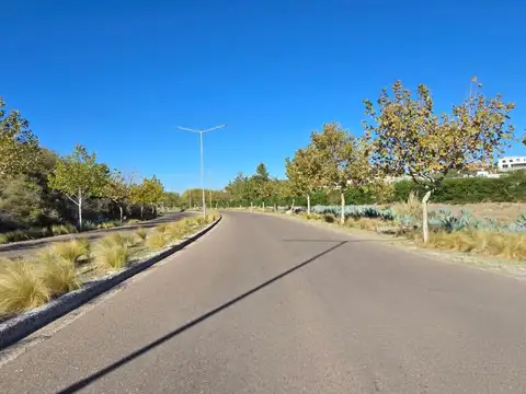Terreno en Venta en Chacras de Coria, USD 75.000