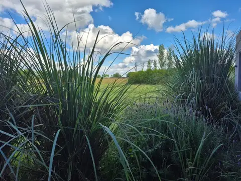 Casa en Venta en Barrio de Chacras Laguna Vitel, USD 450.000