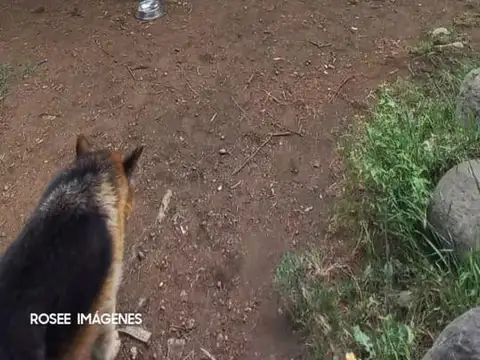 Terreno en Venta de 75000,0 m2