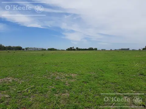 Chacra en venta de 10 has en Cazon, Saladillo