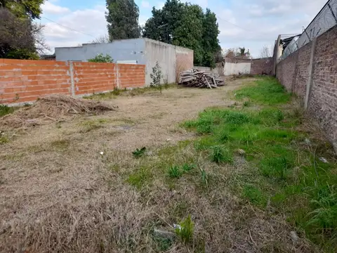 Intendente Manny 1400