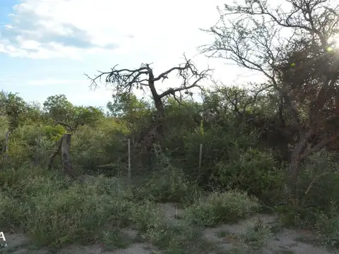 Terreno en Venta de 722,0 m2