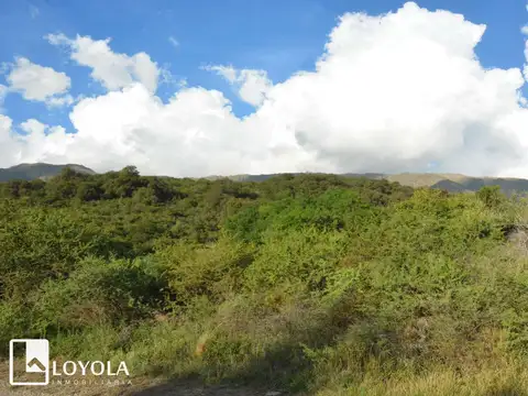 Cta. La Granadilla ( Calaguala )