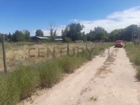Terreno en venta – Carrizal del Medio, Luján, Mendoza