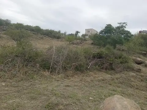 Terreno en Venta en Las Mojarras, Villa Parque Siquiman