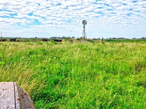 Campo en Venta en Mercedes, Partido de Mercedes