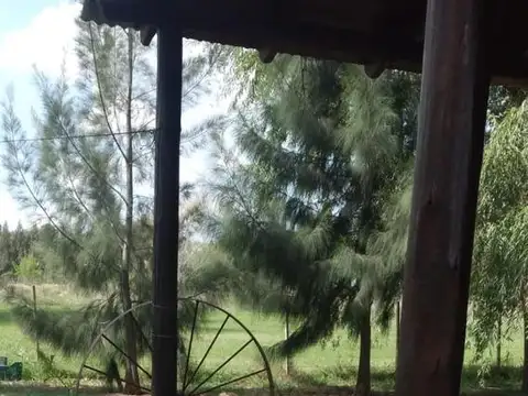ALASKA ENTRE BRASILIA Y BUENOS AIRES.