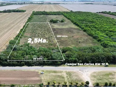 VENTA LOTE 25.000 MTRS. CAMINO SAN CARLOS KM 12,5 