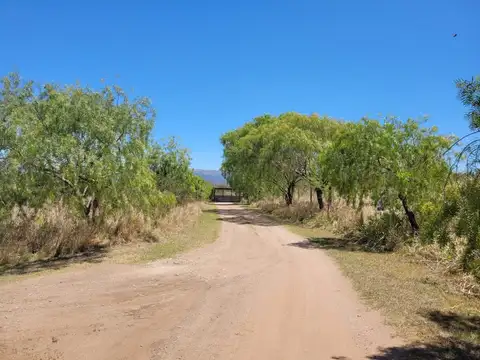 Terreno en Venta 45  mts Frente