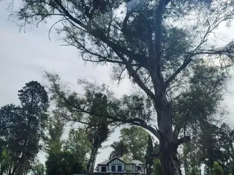 EN TRES PINOS