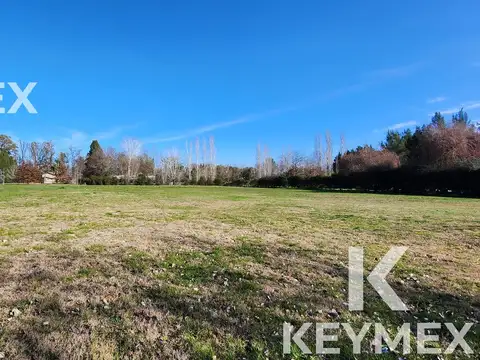 Campos de Roca Ruta 2 km 65