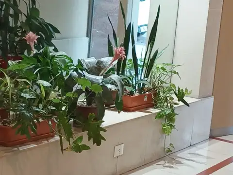 Departamento en Venta en Parque Chacabuco, USD 150.000