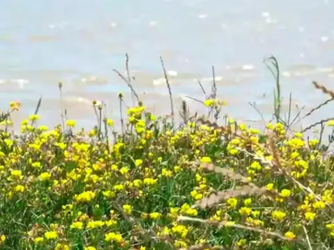 Terreno en Venta en Countries y Barrios Cerrados en Berazategui, USD 75.000