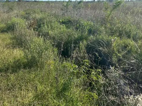 Venta de Terreno en Agote Mercedes