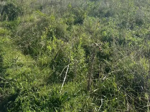 Terreno en Venta en Agote, USD 18.000