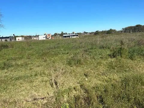 Consultar dirección