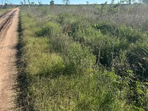 Terreno en Venta en Agote, USD 18.000