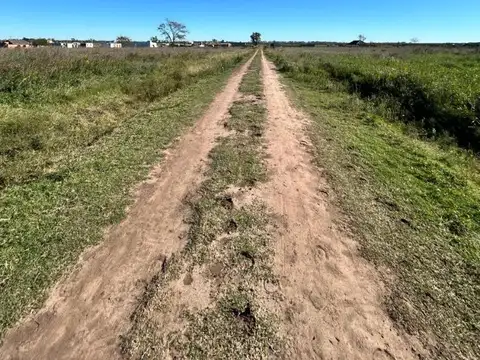 Terreno en Venta de 1000,0 m2