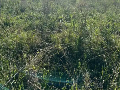 Terreno en Venta de 1000,0 m2