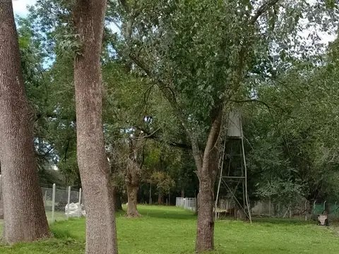 Terreno en Venta 44  mts Fondo