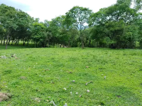 Terreno en Venta de 666,0 m2