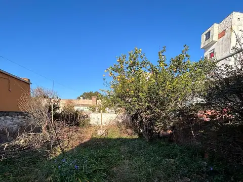 Villegas 39