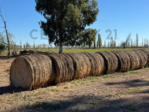 FINCA EN LAS MALVINAS - 42 HECTÁREAS - FINANCIACIÓN EXCLUSIVA