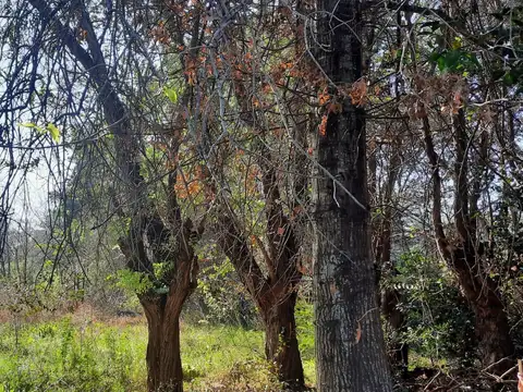 Terreno en Venta en La Bota, USD 210.000