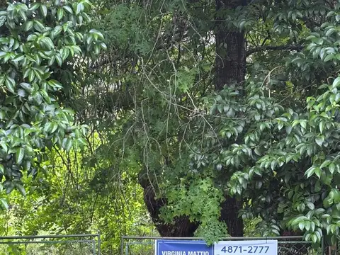 LOTE APTO DESARROLLO INMOBILIARIO